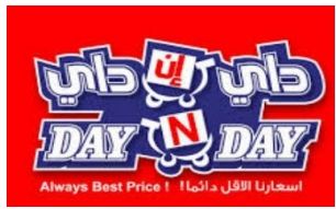 Day N Day logo